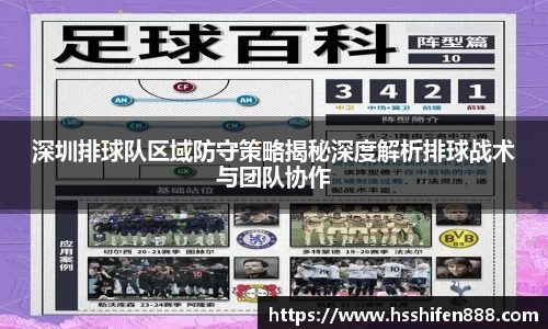 深圳排球队区域防守策略揭秘深度解析排球战术与团队协作